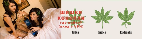 дурь Дмитриев
