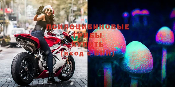 apvp Дмитровск