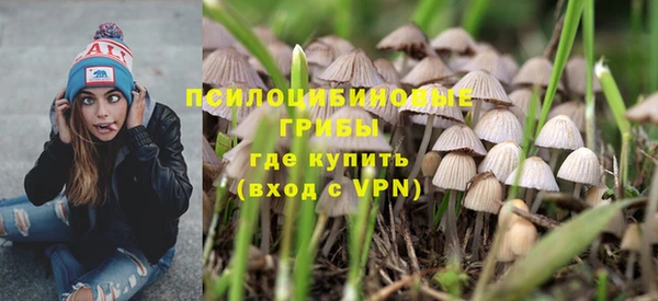 apvp Дмитровск