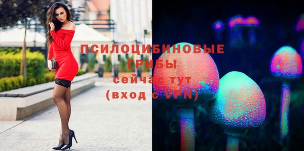 apvp Дмитровск