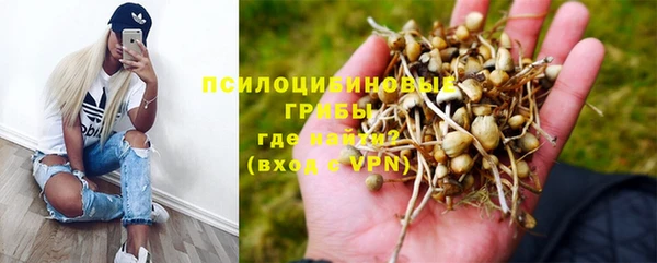 apvp Дмитровск
