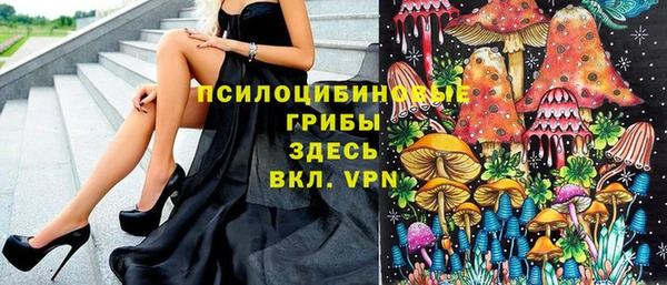 apvp Дмитровск