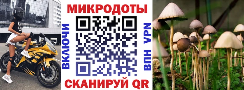 Псилоцибиновые грибы Psilocybe  Купить где  Покачи 